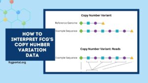How To Interpret FCG’s Copy Number Variation Data