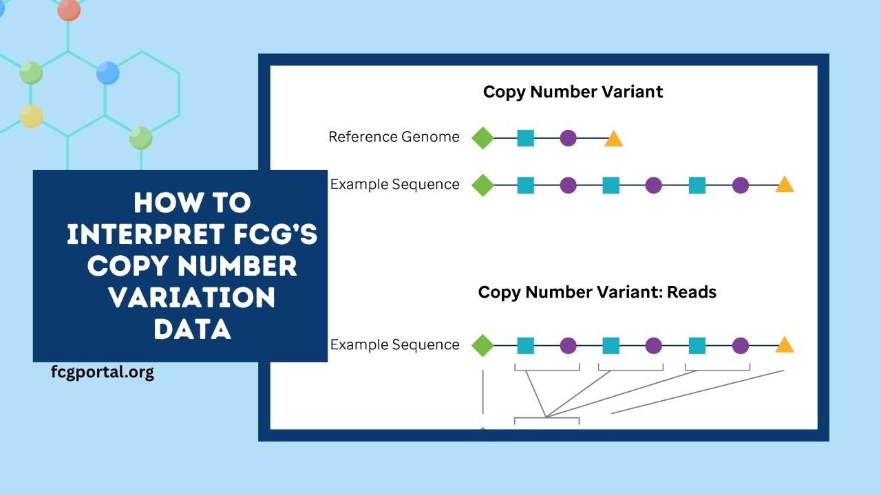 How To Interpret FCG’s Copy Number Variation Data