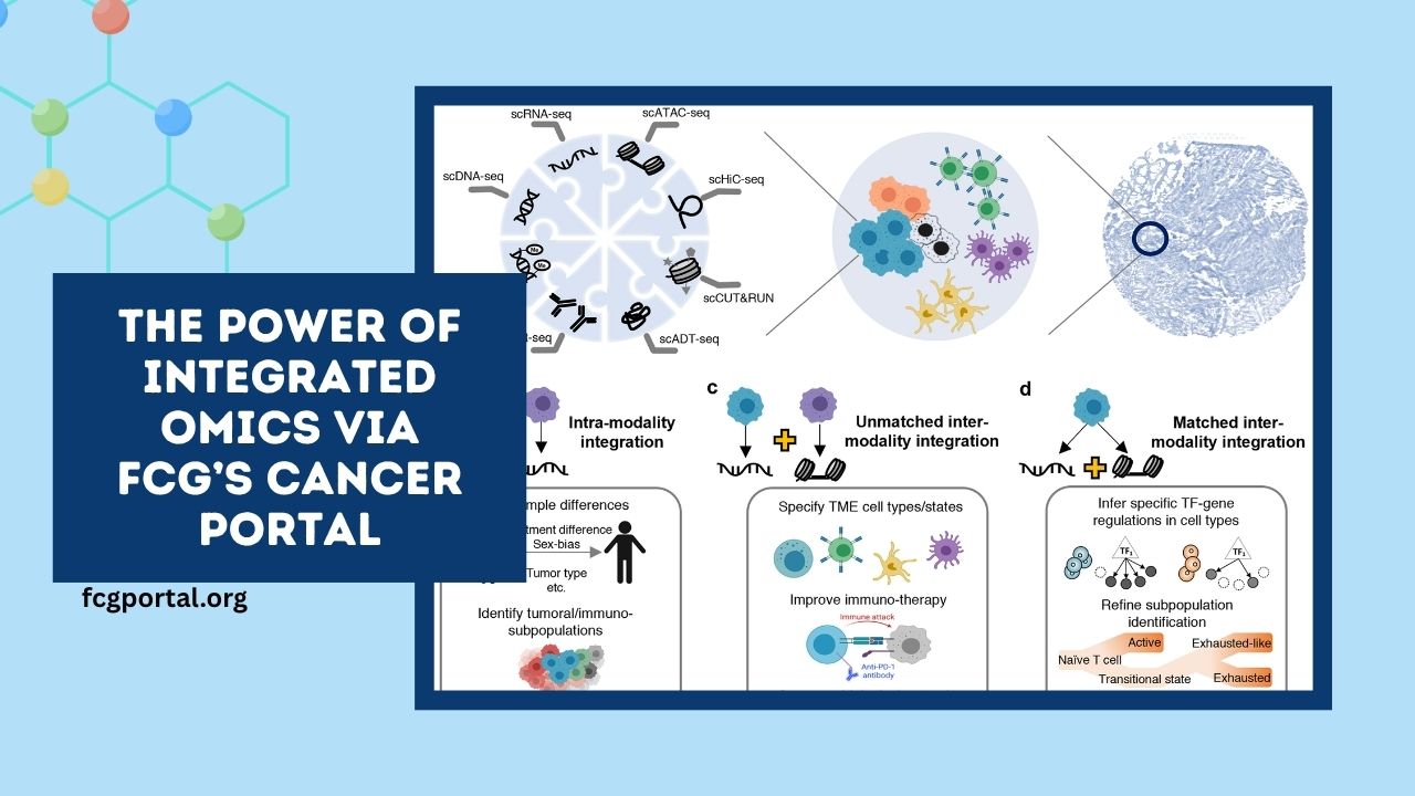 The Power Of Integrated Omics Via FCG’s Cancer Portal
