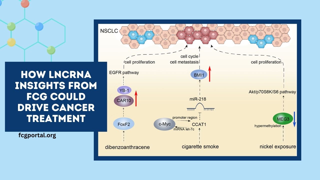 How lncRNA Insights From FCG Could Drive Cancer Treatment