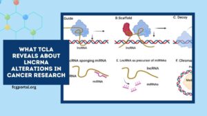 What TCLA Reveals About lncRNA Alterations In Cancer Research