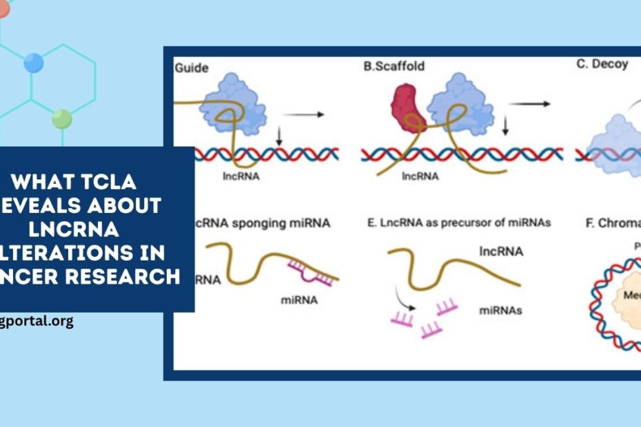 What TCLA Reveals About lncRNA Alterations In Cancer Research