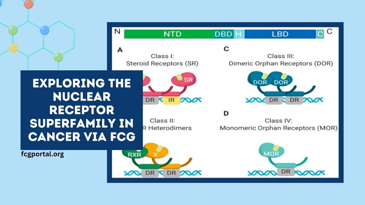 Exploring the Nuclear Receptor Superfamily in Cancer via FCG