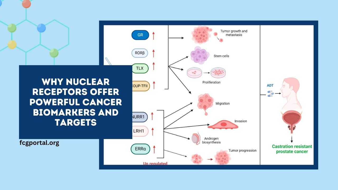 Why Nuclear Receptors Offer Powerful Cancer Biomarkers and Targets